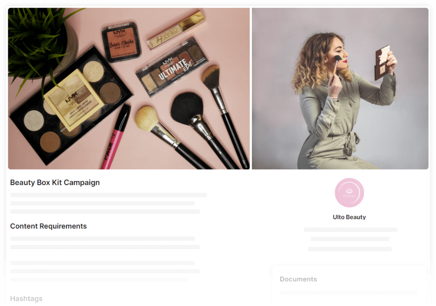 Influencer campaign brief